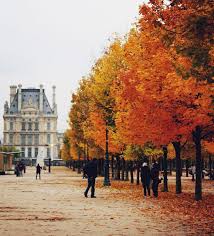 Jardin Des Tuileries Autumn In Paris By C Christine M Kim Www Withlovefromkat Com Places Paris Wonders Of The World