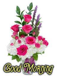 Good morning flowers images hd. Good Morning Flower Images Download Hd Hutomo