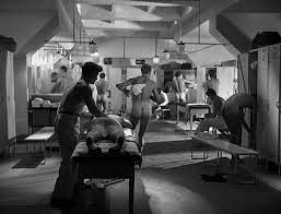 Search For Beauty 1934 Review Pre Code Com