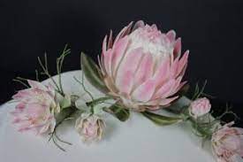 Blushing Bride Flowers Google Search Protea Flower Flower Display Sugar Flowers