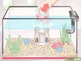 Yes, you can put betta fish in a glofish tank, but you can only keep a betta with certain glofish species visit the site to learn more about which glofish species can be safely however, you want to be mindful when putting a betta in a glofish tank since even peaceful glofish can be fin nippers. How To Clean Aquarium Decorations 15 Steps With Pictures