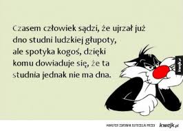Znalezione obrazy dla zapytania gÅupoty