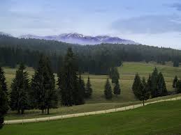 Pesterile din zona olanesti au fost propuse si cuprinse de catre specialistii valceni in lista obiectivelor geologice ocrotite de lege. Despre Parcul Natural Bucegi Romania Prezentare Imagini Informatii Turistice Si Detalii Despre Statiunea Parcul Natural Bucegi