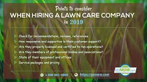 From installing retaining walls to water features we can create a…. 6 Points To Consider When Hiring A Lawn Care Company In 2019 Gomow