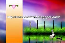 Wedding Album Design Psd Files Free Download Album Design Wedding Album Design Photo Album Design