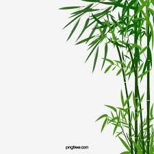 Cartoon Bamboo Png And Psd Bamboo Background Fruits Drawing Leaf Background