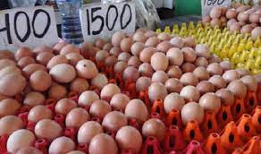 Grosir telur ayam di kota medan. Infopublik Harga Telur Ayam Naik Di Rokan Hulu