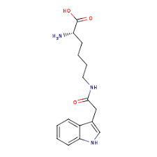 Jack was born with a special power. Brenda Information On Ec 6 3 2 20 Indoleacetate Lysine Synthetase