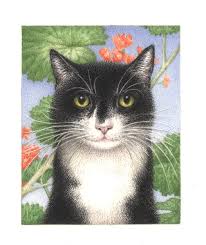 Picture Book Originals Nicola Bayley