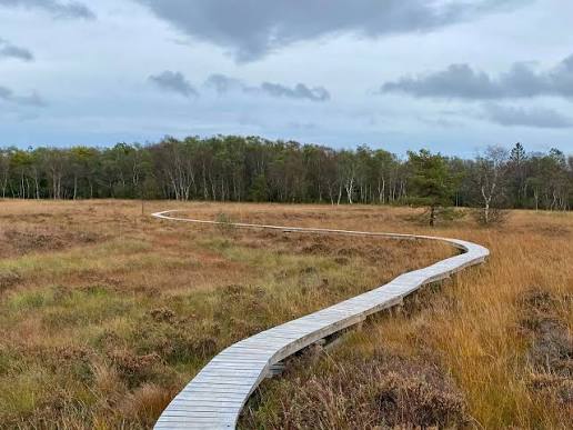 Promenade de la Fagne De Malchamps. 🌲🌳🌿 🅿️ D&eacute;part et ...