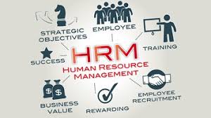 Mba Human Resource Management Course Career Scope Salary In India By Nainu Raheesh Medium