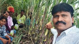 KARYON ORGANIC देशीऊस #sugarcane #karyonorganic #agriculture #farming