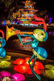 Chinese Lantern Festival Dallas Ft Worth Texas Chinese Lantern Festival Mural Art Chinese Lanterns