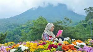 Yuk wisata ke batu flower garden. Harga Tiket Masuk Bukit Bulu Batu Flower Garden Malang