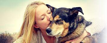 W e are available 24/7 to refer euthanasia services to your family, if the need arises. Dignified Pet Euthanasia Home Facebook