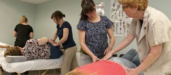 The provider is registered as an organization entity type. Integrative Clinic Of Minnesota In The Phillips Neighborhood Northwestern Health Sciences University