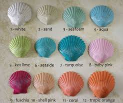 Bonanza Find Everything But The Ordinary Beach Decor White Shabby Chic Seashell Wall Decor