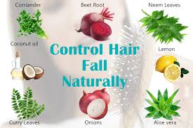 Ginkgo biloba is an herb that can help strengthen the hair shaft, which discourages hair thinning. How To Stop Hair Loss Diyhaistylestoday Com