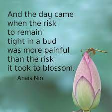 Skylands Unitarian Universalist Fellowship And The Day Came When The Risk To Remain Tight In A Bud Was More Painful Than The Risk It Took To Blossom Anais Nin Facebook