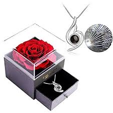 We did not find results for: Buy Red Rose Gift Box With 925 Sterling Silver Women Necklace Inside Forever Real Rose Jewelry Box With I Love You Necklace 100 Languages Preserved Flower For Mothers Day Gifts Enchanted Rose For Her