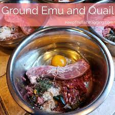 Ground Emu And Quail Raw Dog Food Raw Dog Food Recipes Dog Food Recipes Raw Dog Food Diet