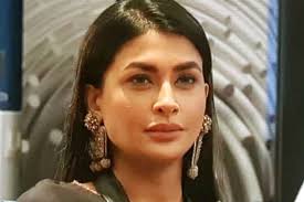 She is into modeling and has appeared on the reality show mtv splitsvilla.she started getting offers 3 years ago and did a few shoots thenn she thought about it more s. Bigg Boss 14 Did Pavitra Punia Hide The Fact That She Is Married