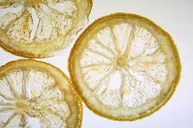 How To Make Candied Lemon Slices Dessarts Recipe Candied Lemon Slices Candied Lemons Lemon Slice
