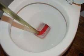 blocked toilet drain unblocking