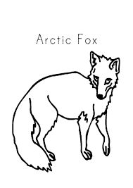 A cute arctic fox coloring page and learning sheet. Pin On Artic Fox Coloring Pages