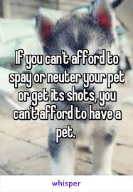 If You Can T Afford To Spay Or Neuter Your Pet Or Get Its Shots You Can T Afford To Have A Pet Animal Rescue Quotes Pets Spay