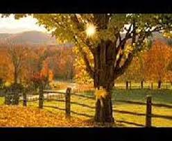 Pin By Eleablake Cosmetics On Shared Music Oldies Music Old Oak Tree Music Memories