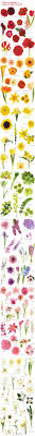 Floral baby names bring in the delicateness of a flower and remind you of its beauty every time you call your child with that name. Flower Names By Color Hayley S Wedding Tips 101