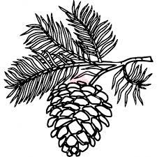Logo Pinecone Motif Logo For Wedding Stationary Pine Cone Drawing Pine Tree Drawing Tree Drawing
