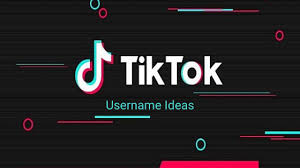 6745 Best Tiktok Username Ideas New List Knowtechtoday
