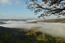 Es liegt an der nordsee und grenzt an die niederlande, deutschland, luxemburg und frankreich. Belgien Ardennen Landschaft Kostenloses Foto Auf Pixabay