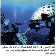 التفسير العلمي لكيفية حدوث عملية طفو الأجسام