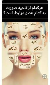 هر ناحیه از صورت مرتبط با کدام عضو از بدن است نواحی صورت اعضای بدن بیماری ها rosebanbox beauty tips for skin beauty skin care routine healthy beauty