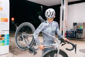 Image result for Orbea umbracula