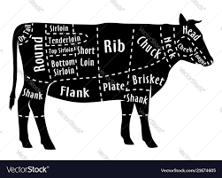 Cut Of Beef Diagram For Butcher Beef Cut