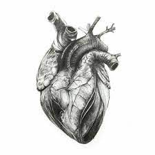 Pin On Tattoo