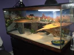 Bearded dragons maybe a referring to the most loved one pets. Cool Bearded Dragon Enclosure Ideas Novocom Top