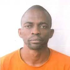 Understanding the BART Model for Accurate Text Summarization