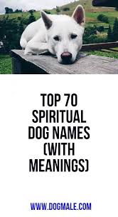 Top 70 Spiritual Dog Names With Meanings Dog Names Best Dog Names Boy Dog Names