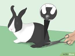 Use this method if the mess on bunny's bottom. 3 Ways To Bathe Your Pet Rabbit Wikihow