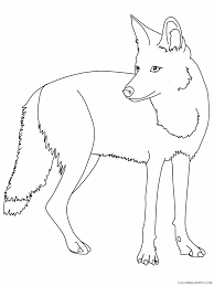 600x778 coyote coloring pages roadrunner and coyote playing football. Coyote Coloring Pages Animal Printable Sheets Coyote 2021 1215 Coloring4free Coloring4free Com