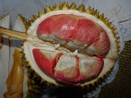 Rasa yang manis, ada sedikit pahit. Keunikan Durian Merah Banyuwangi Yang Mempunyai Rasa Luar Biasa