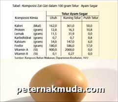 Tapi, setidaknya anda membutuhkan 8 putih telur agar kalorinya setara dengan 5 butir. Kandungan Protein Telur