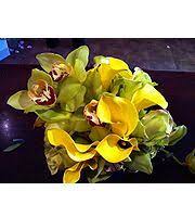 Flower lover ll photographic print by freshcut. Flowers On 14th Florists The Knot