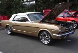 Image result for Chantilly Beige 1964 Mustang