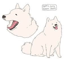 Hamotzi Cute Art Art Dog Art
